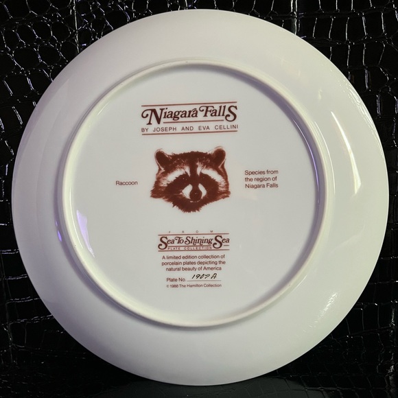 “Niagara Falls” From Sea To Shining Sea Collectors Plate Authentic Registered - Picture 3 of 3